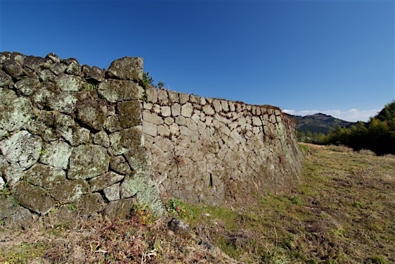File:Ojima14.jpg