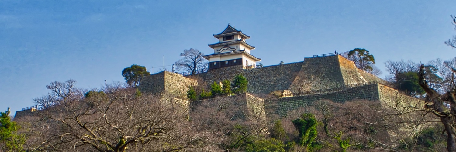 Marugame index.jpg
