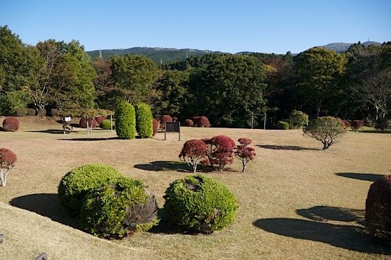 File:Yamanaka1.jpg