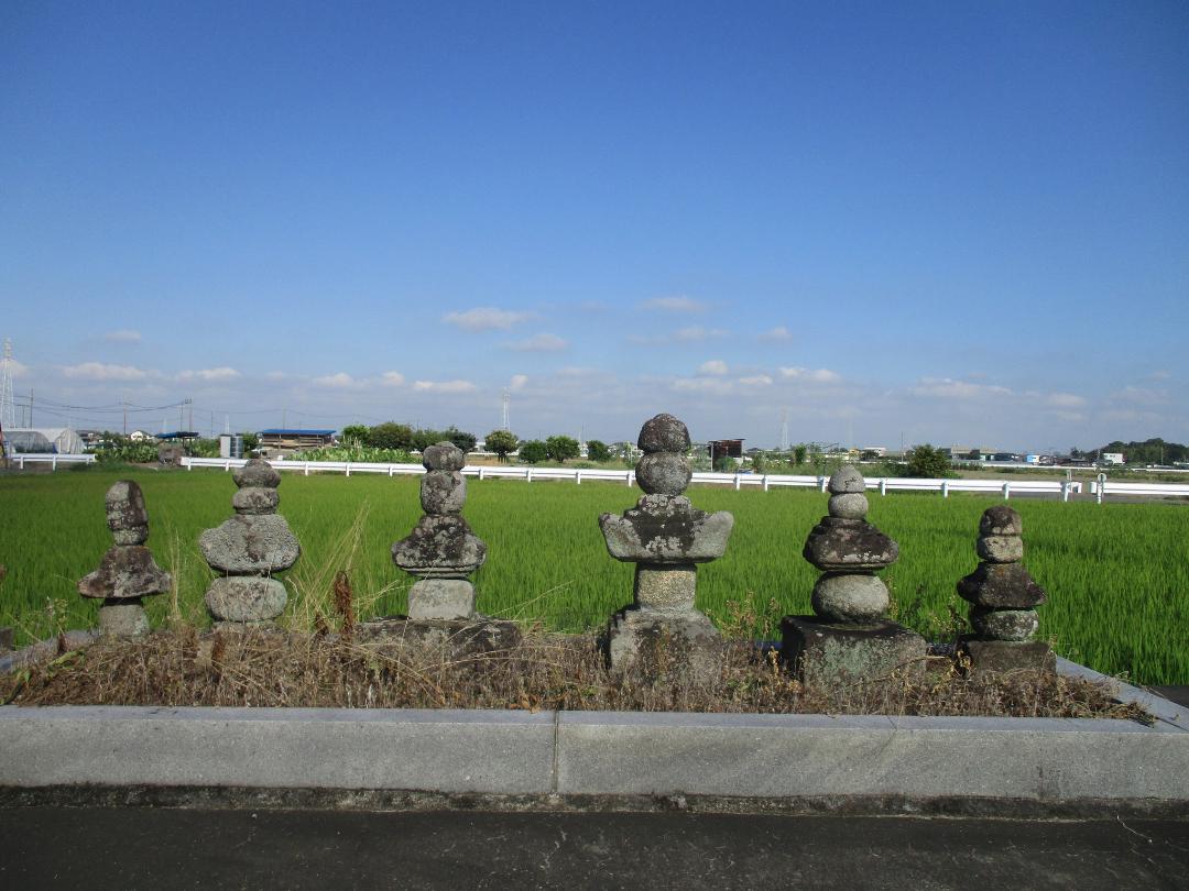MikawaDoijou4.jpg