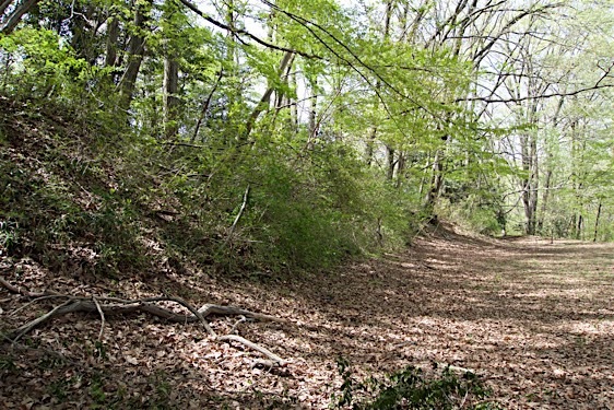 File:Odano9.jpg