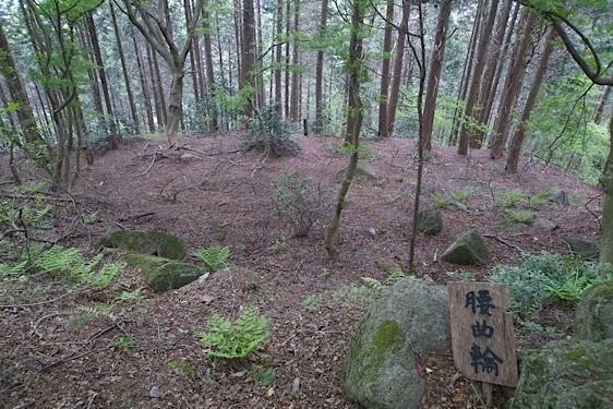 File:Ori25.jpg