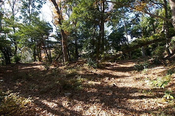 File:Tsukui6.jpg