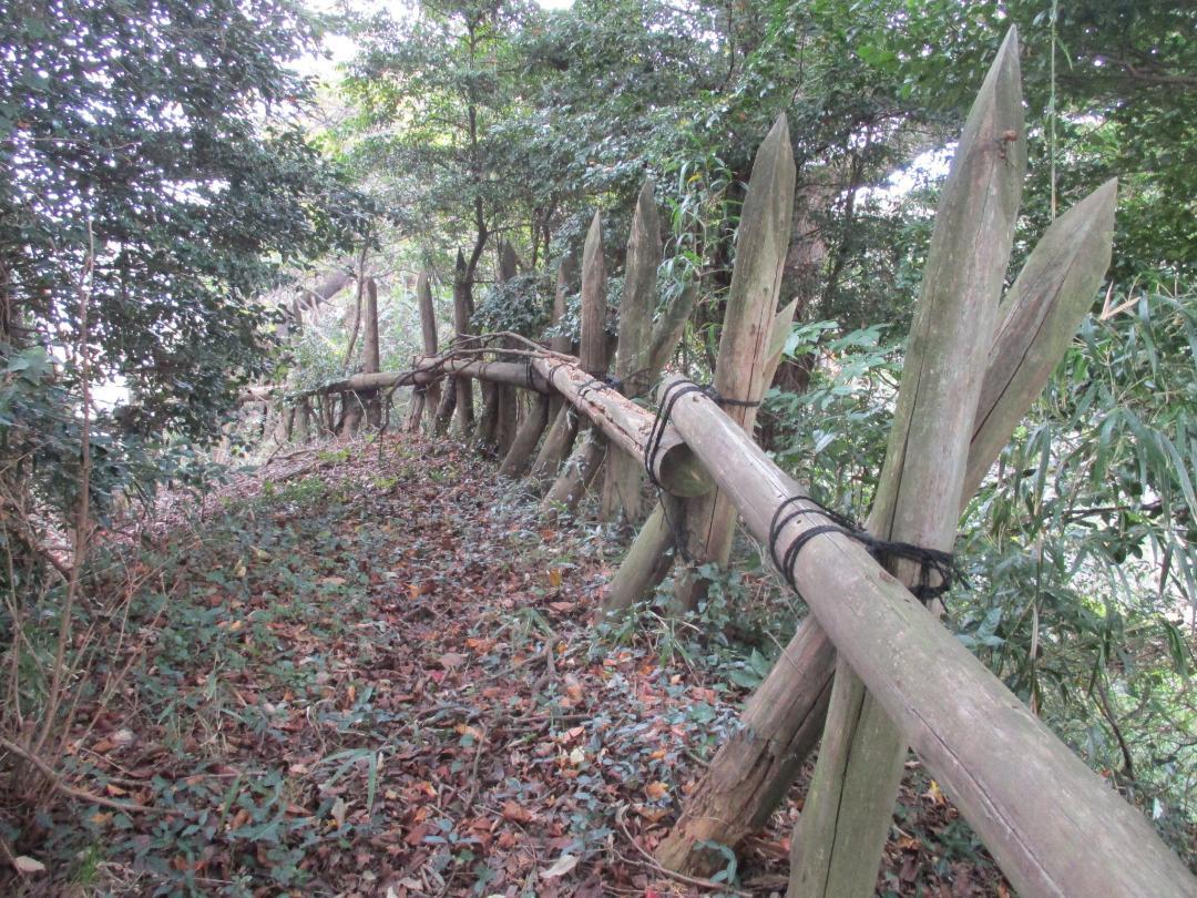 HazuTerabejou (1).jpg