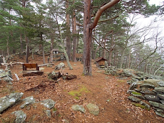 Matsuoko23.jpg