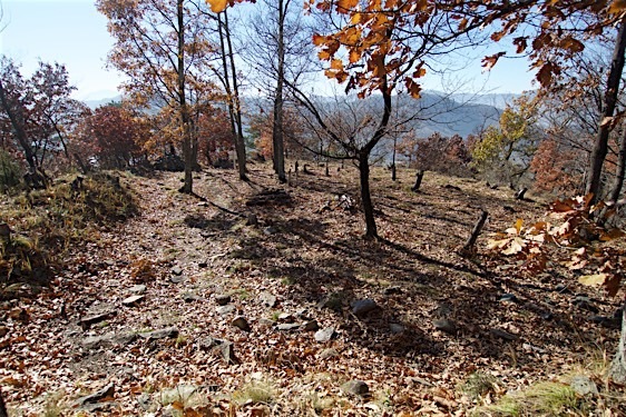 File:Washio18.jpg