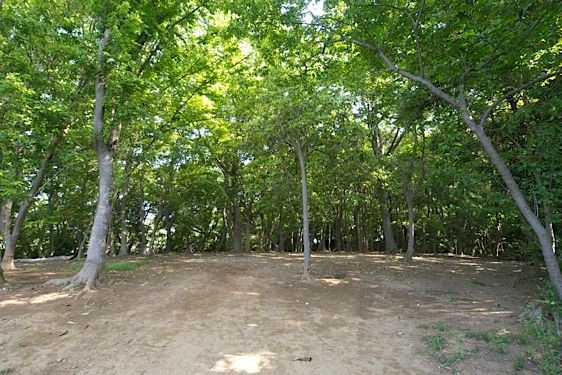 File:Usui33.jpg