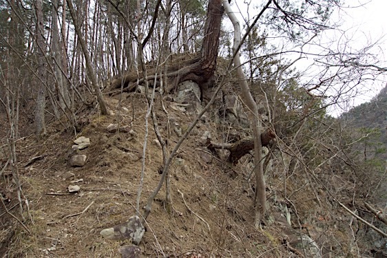 File:Kuma30.jpg