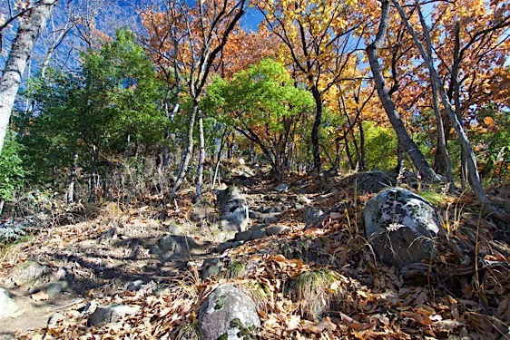 File:Washio1.jpg