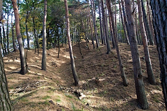 File:Haibara26.jpg