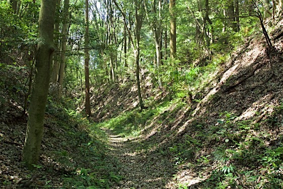 File:Obata14.jpg