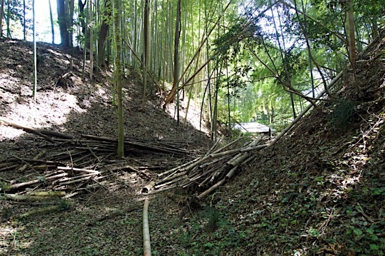 File:Obata9.jpg