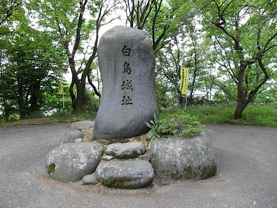 Shiratori8.jpg