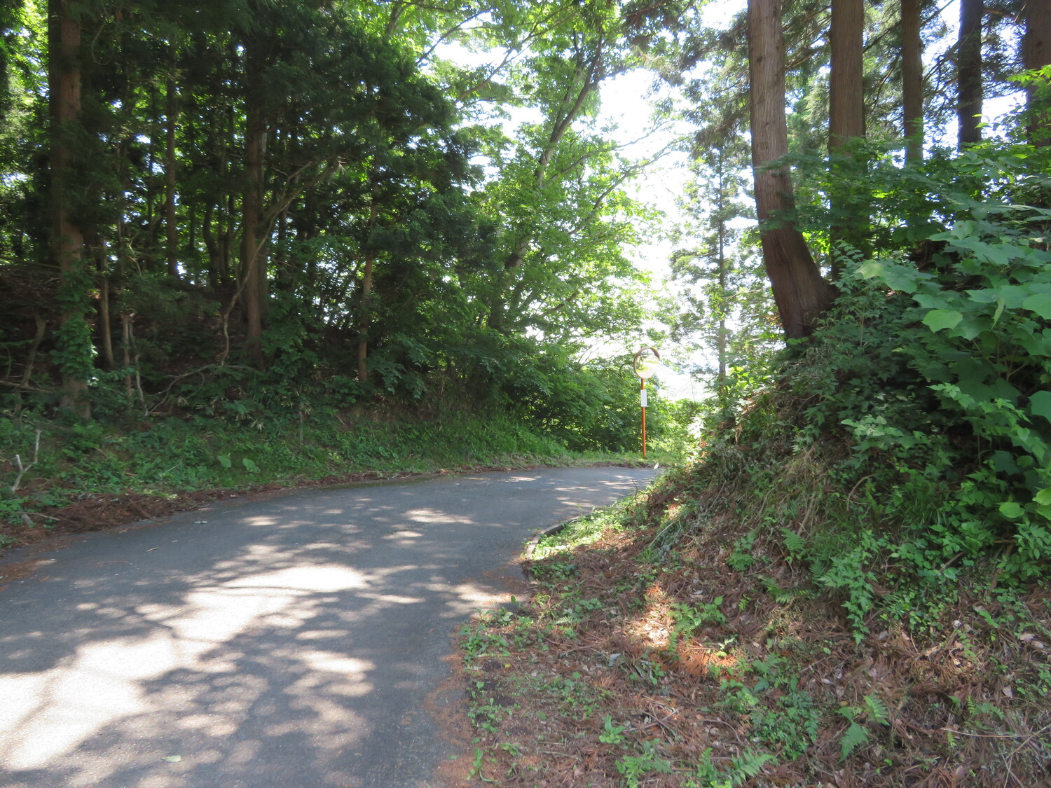 04MutsuIwasaki.JPG