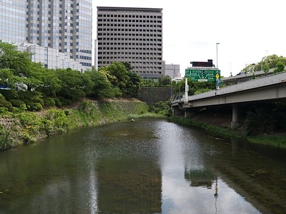 Edo15.jpg