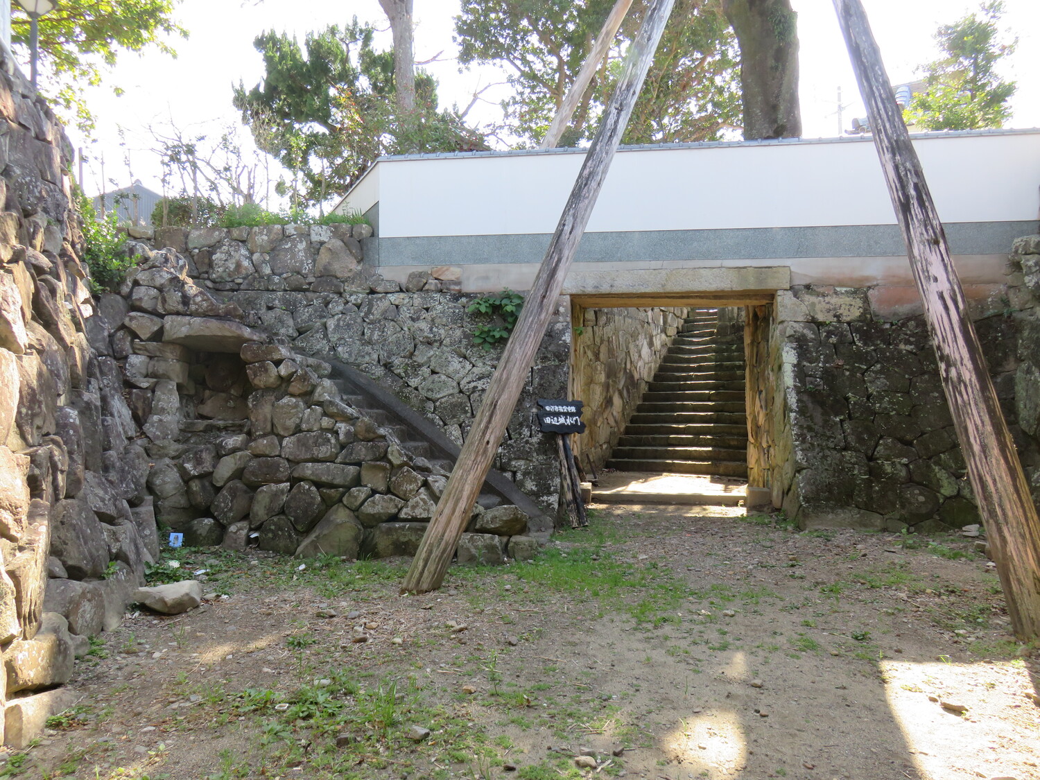 IMG 9406.JPG