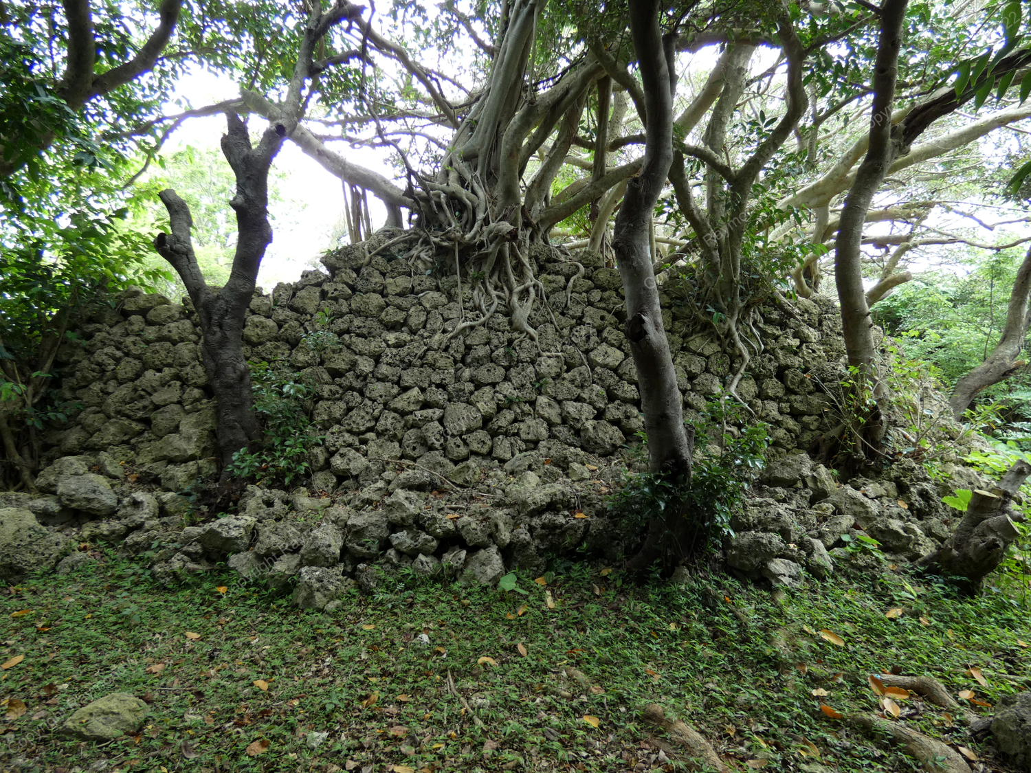 Nanzan Castle Ray 1.jpg
