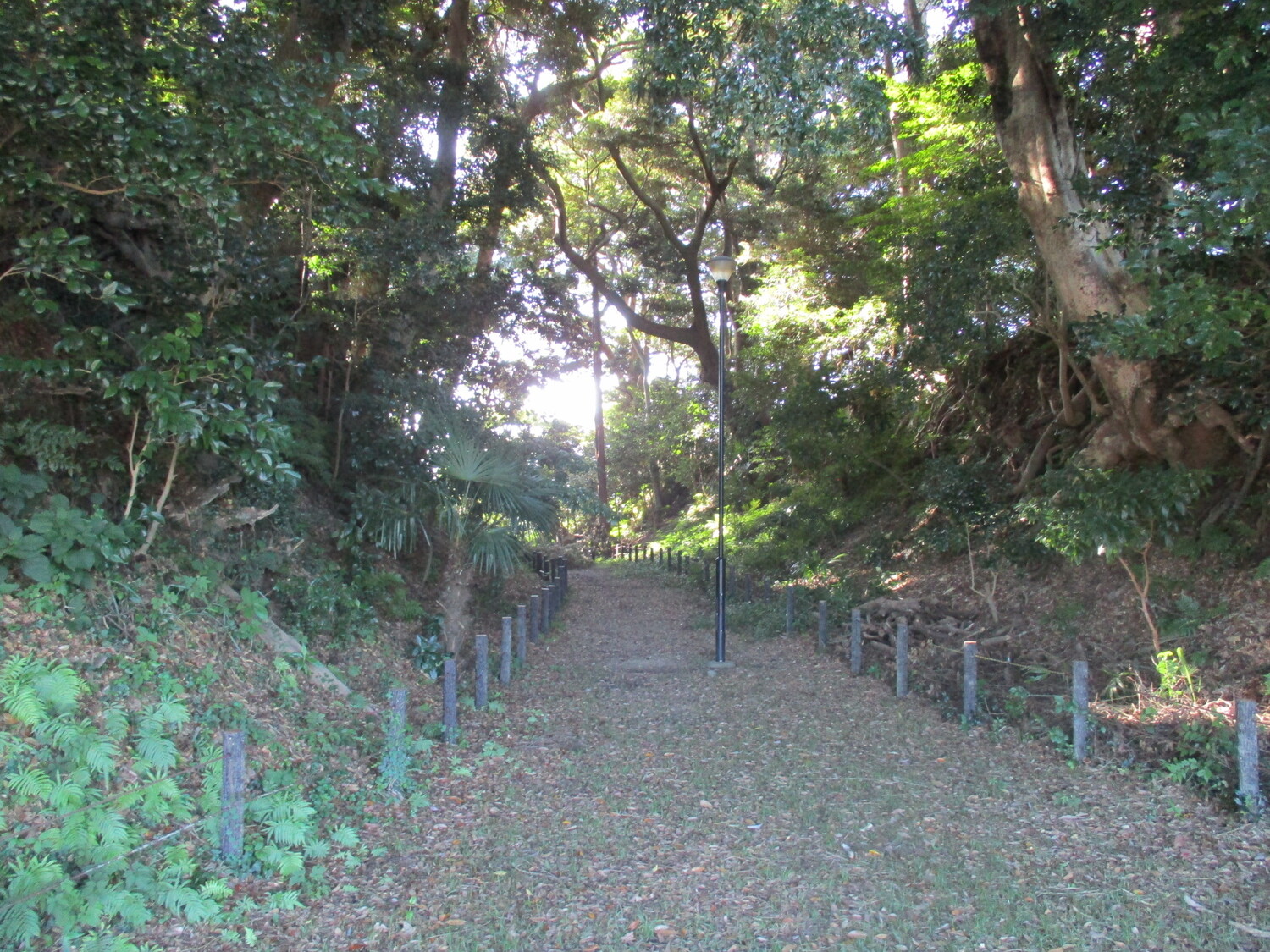 Kakegawakojou (1).JPG