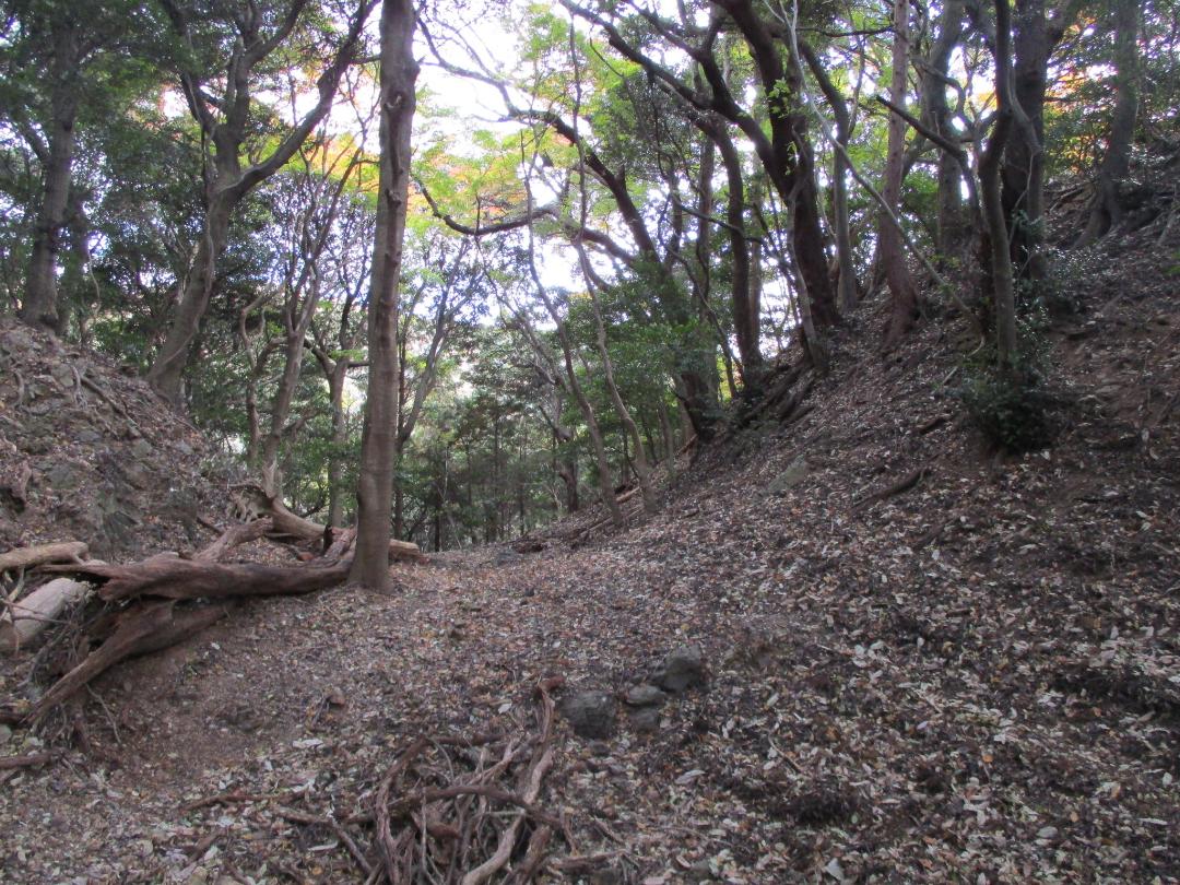 Akaiwajou001.jpg