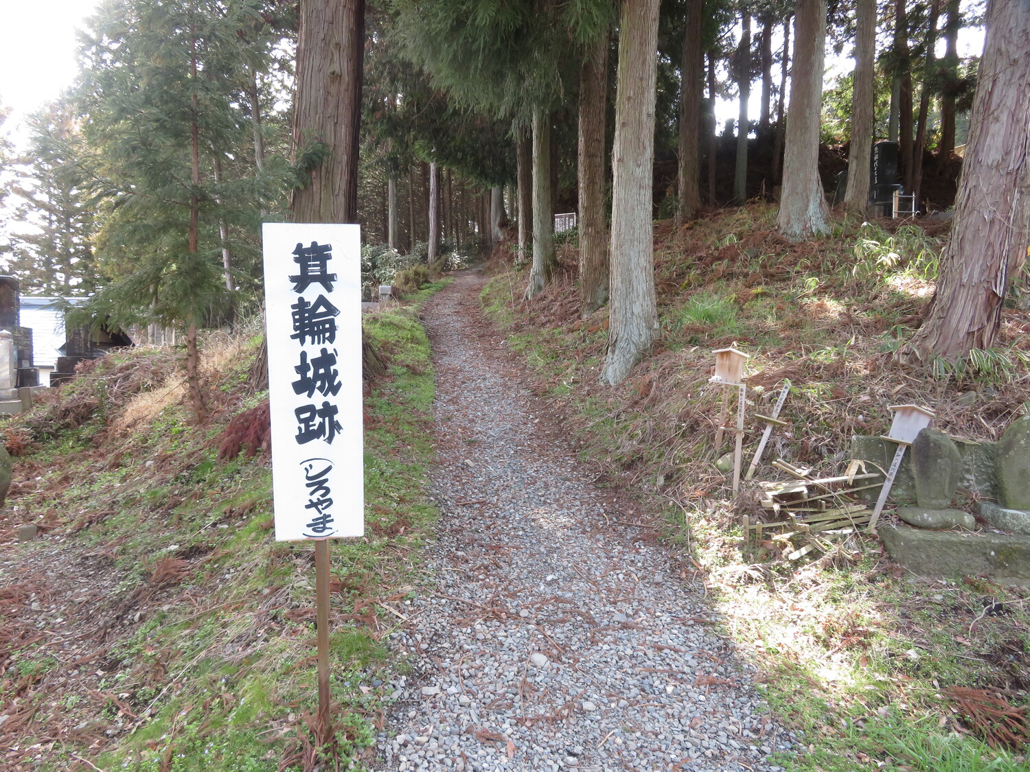 InaMinowajou (5).JPG