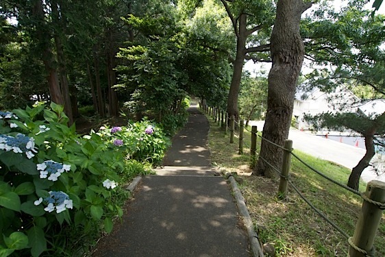 File:Nagakubo9.jpg