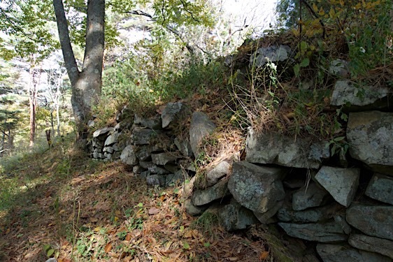 File:Yamabe20.jpg