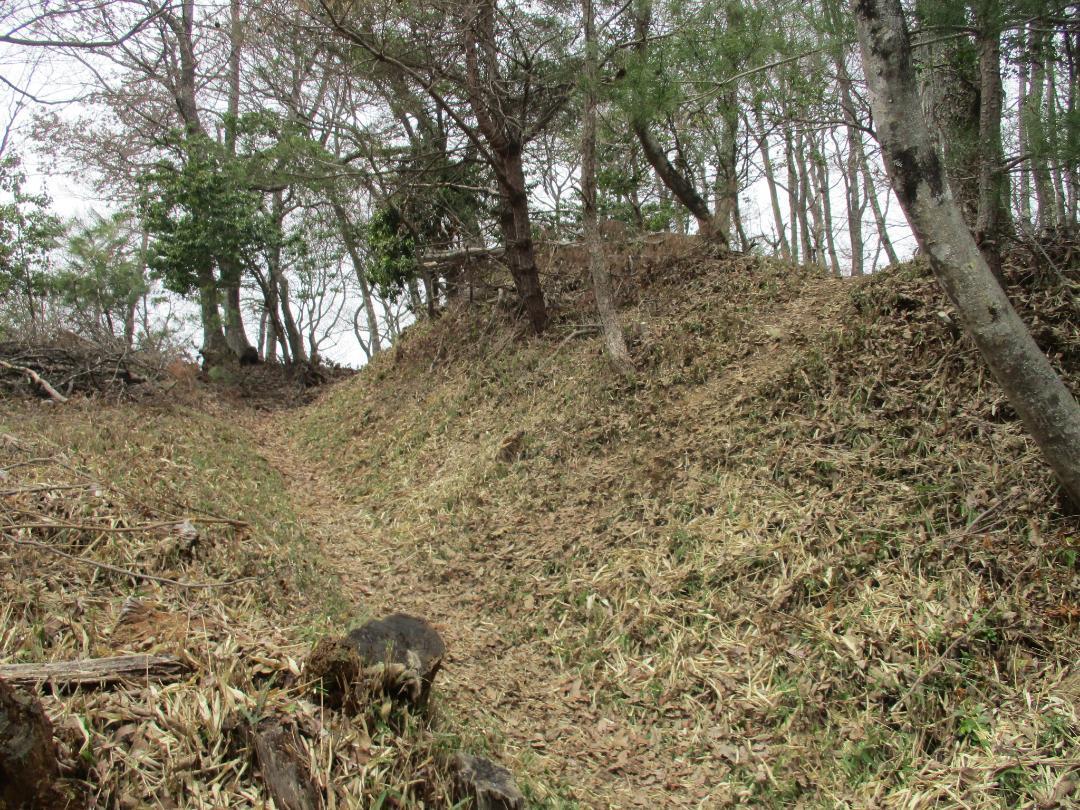 OdaniYamazakiToride (1).jpg