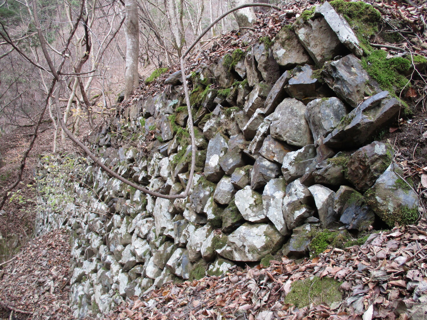 ShingenYashiki (27).JPG