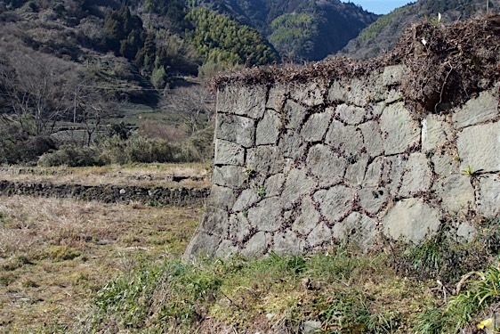 File:Ojima19.jpg