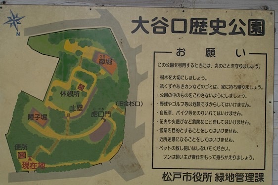 File:Kogane15.jpg