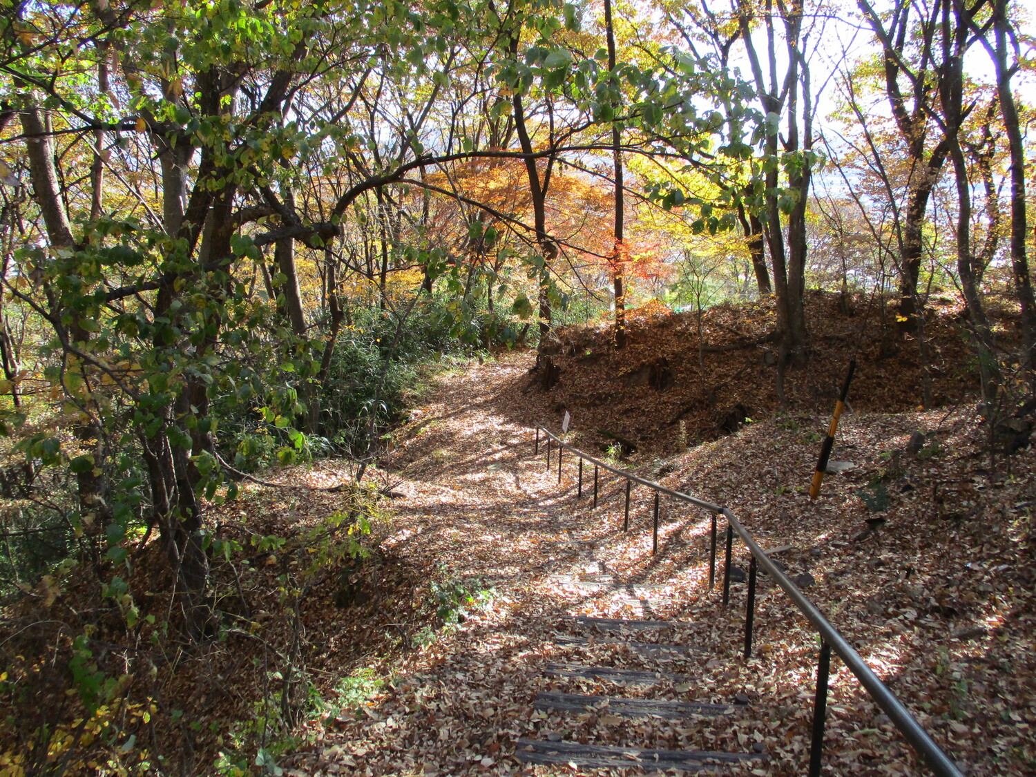 OgataYashimajou (1).JPG