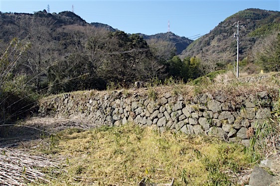 File:Ojima13.jpg