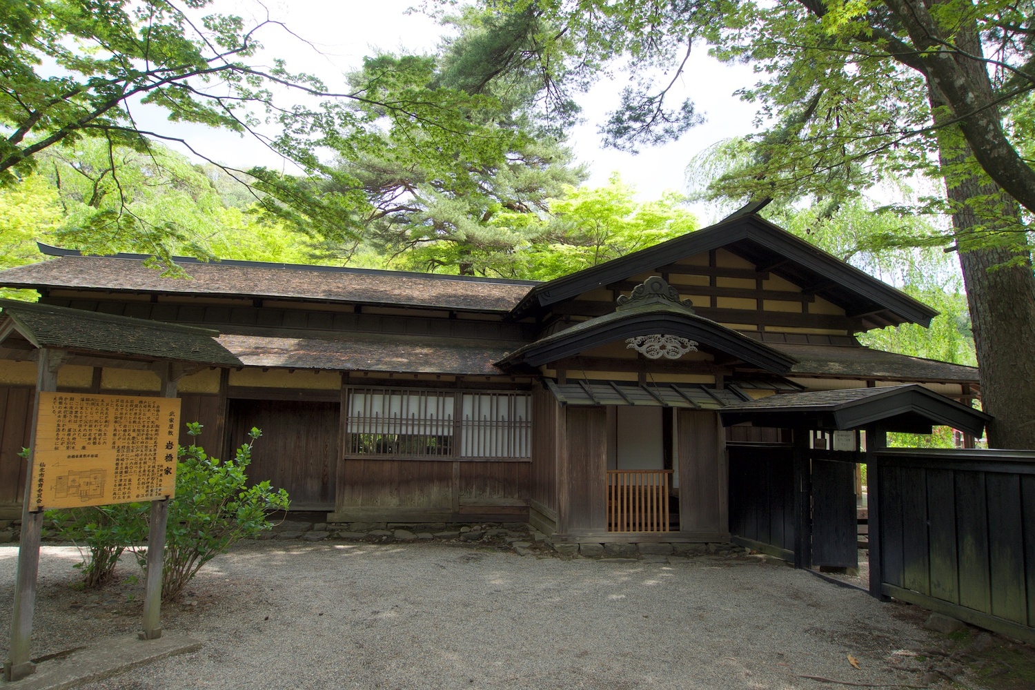 Iwahashi17.jpg