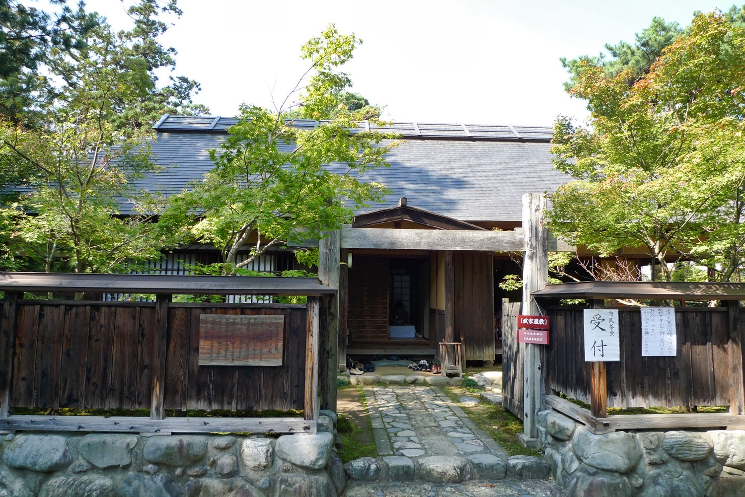 Shibata20.jpg