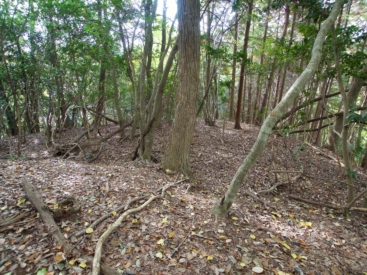 TenjinyamaHiroshima6.jpg