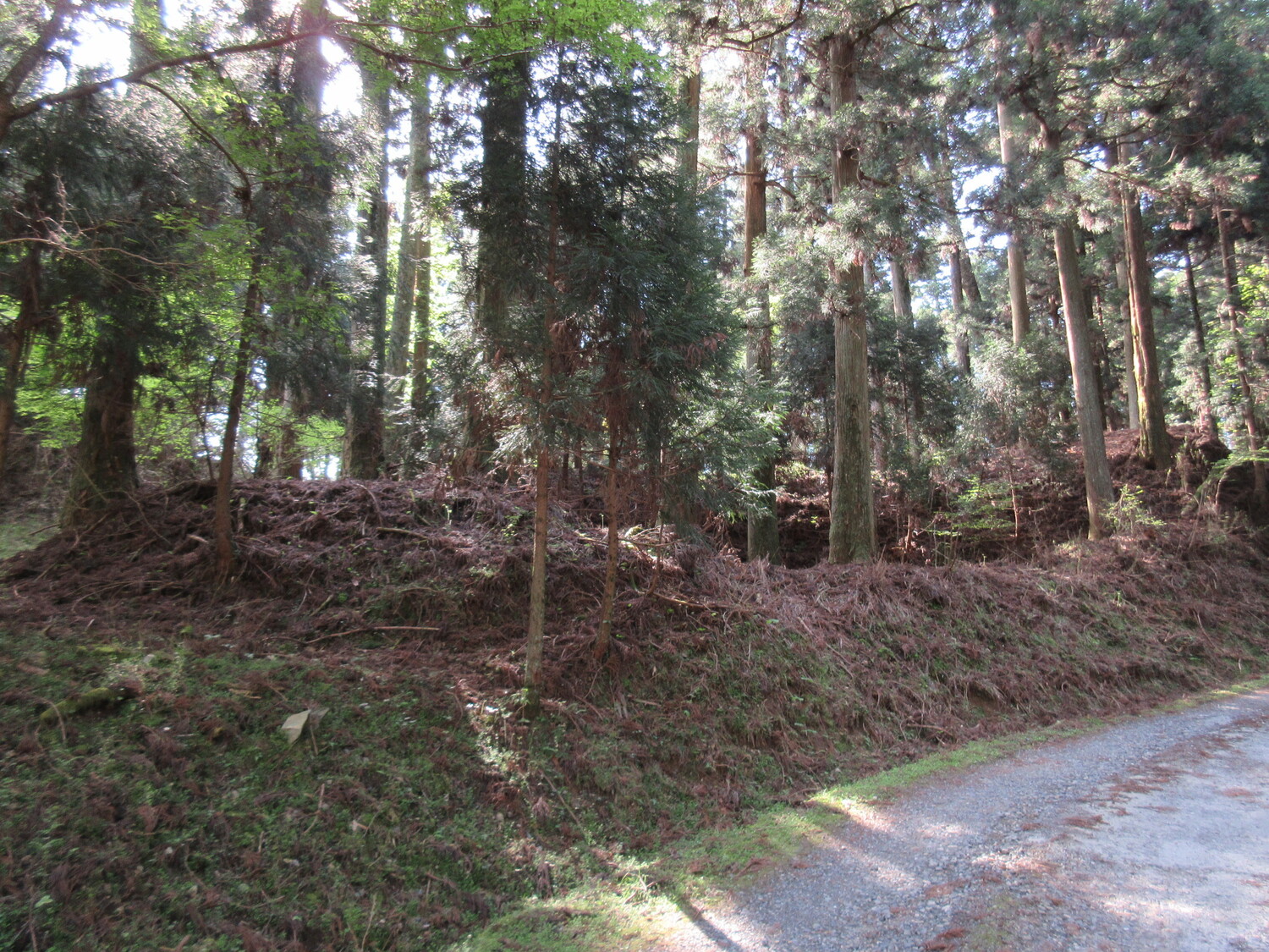 EnryakujiNishitaniToride (3).JPG
