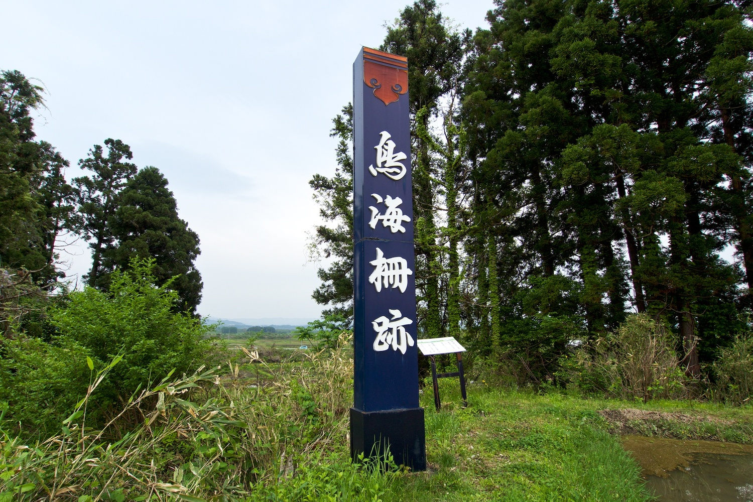 Tonomi1.jpg
