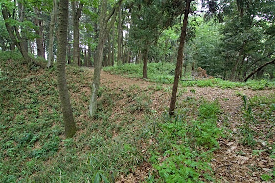 File:Zen13.jpg