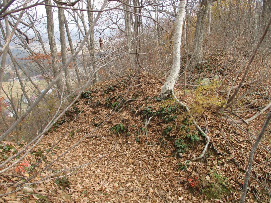 AdzumiIidajou (2).jpg