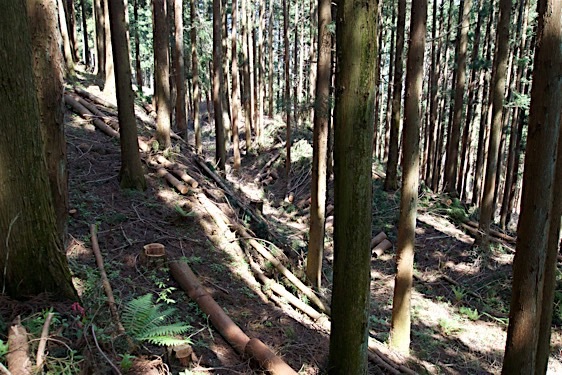 File:Iwabitsu17.jpg