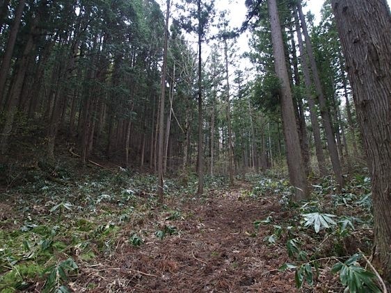 File:Shigiyama26.jpg