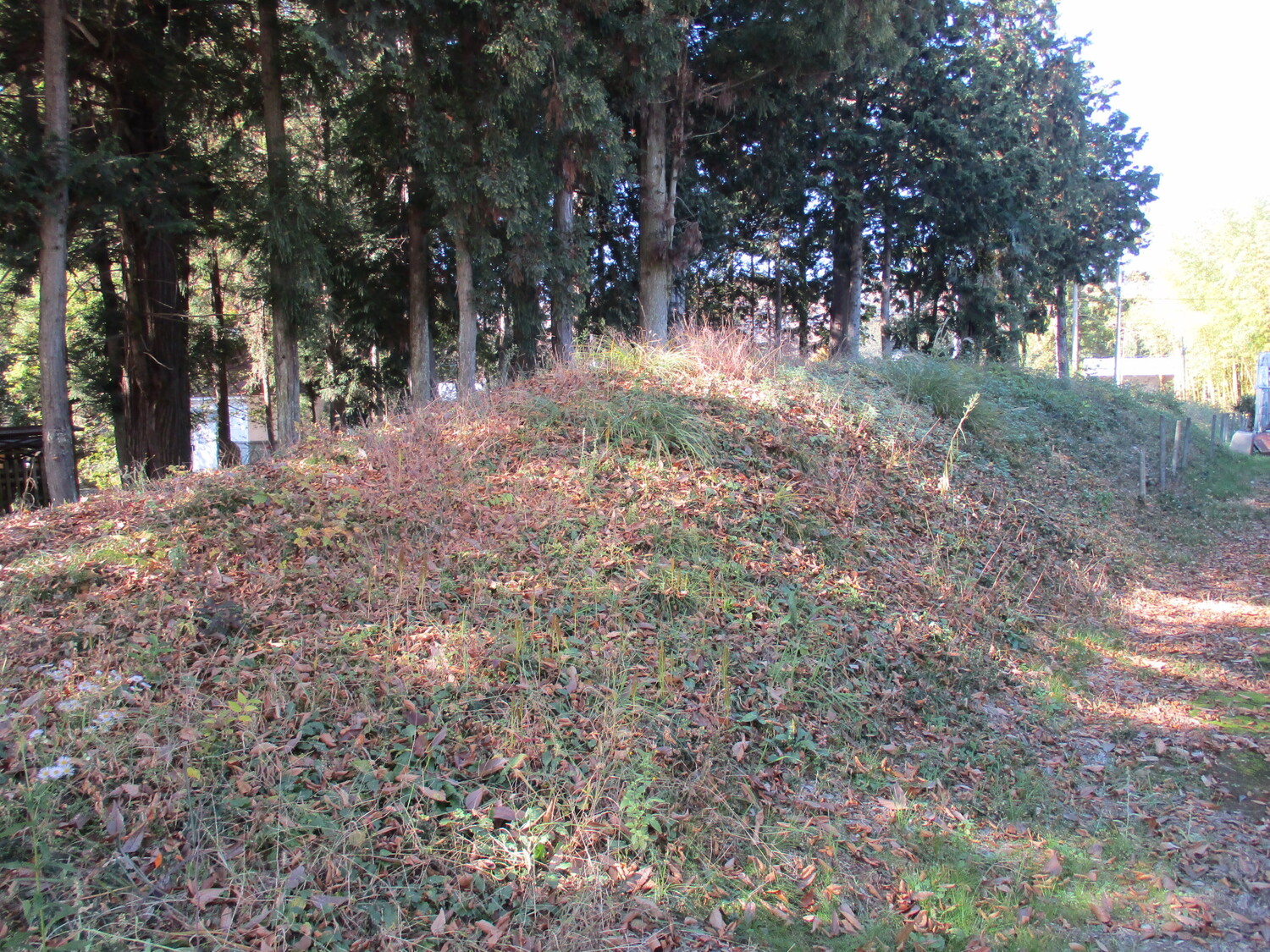 TakedaHyougosukeYashiki (4).JPG