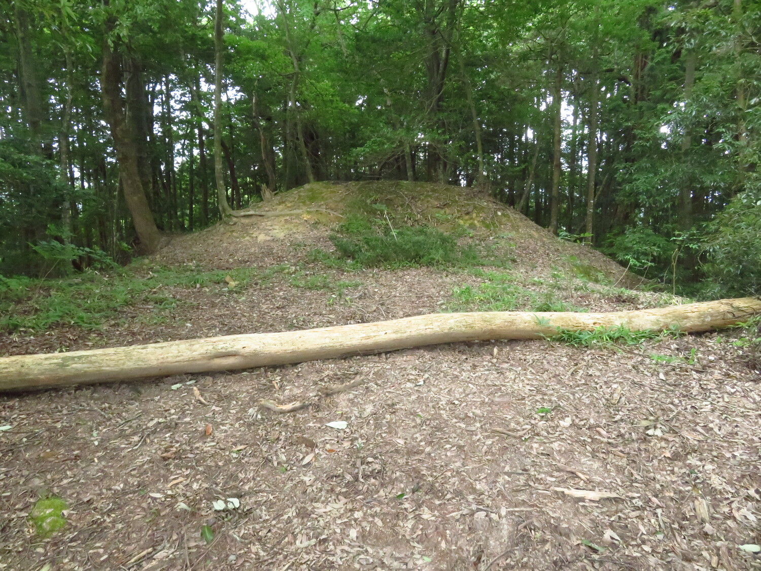 BingoKouyamajou (8).JPG