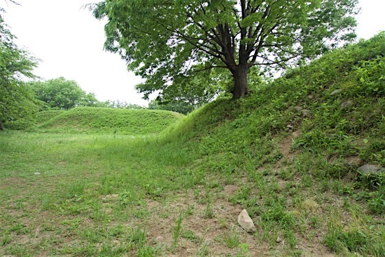 File:Oogo9.jpg