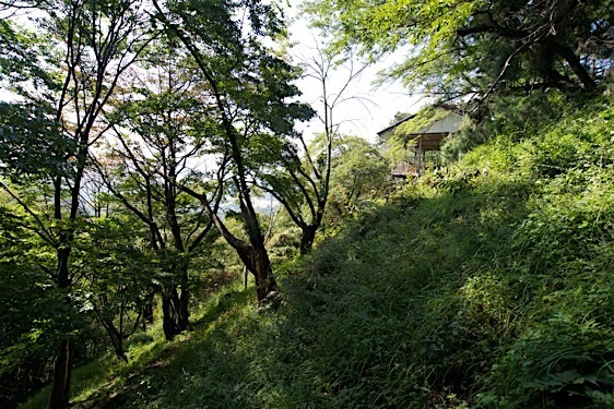 File:Sasao6.jpg