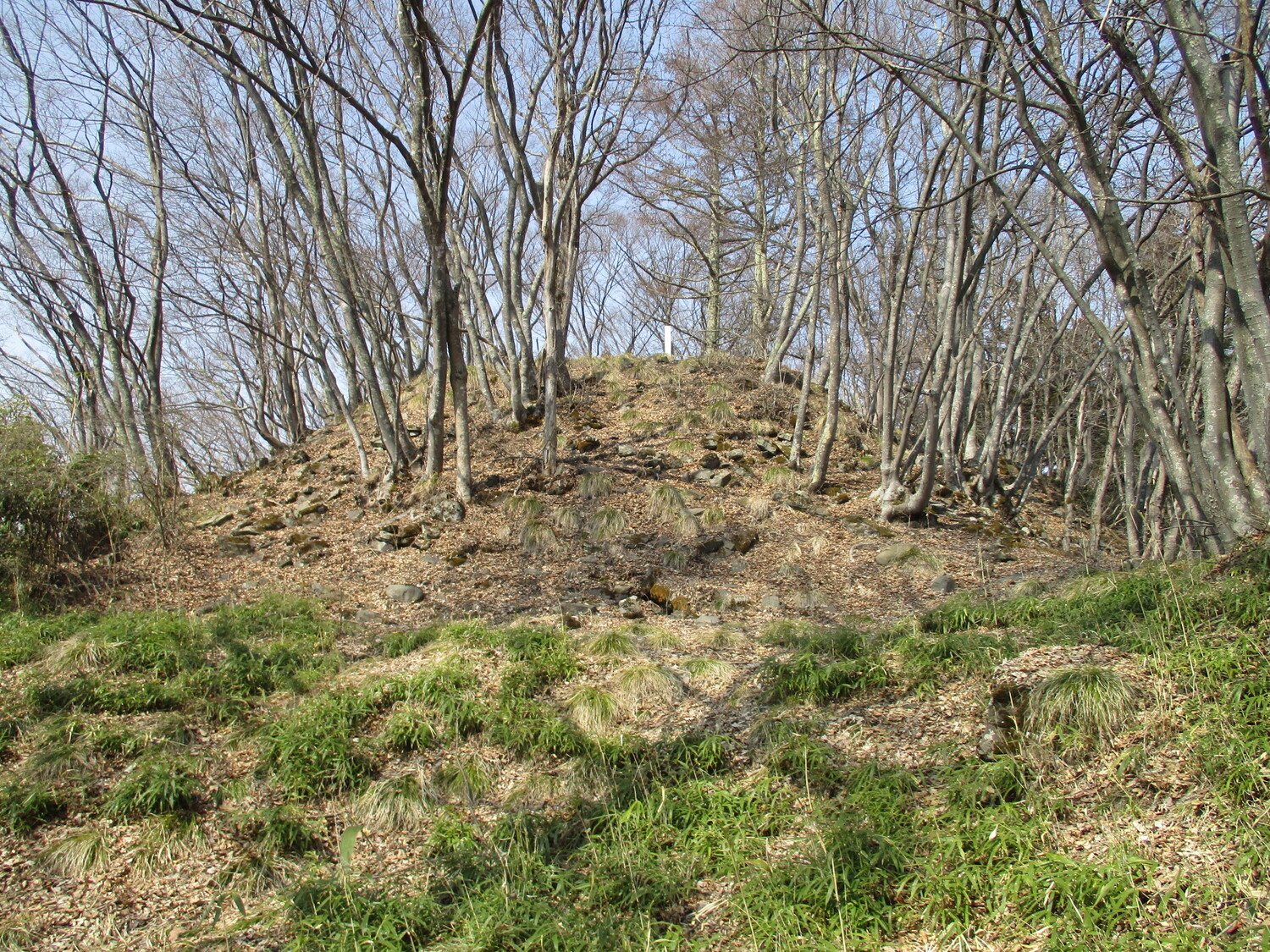 TakaiMasugatajou (1).JPG
