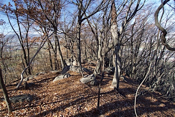 File:Kanaiyama12.jpg