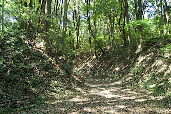 File:Obata3.jpg
