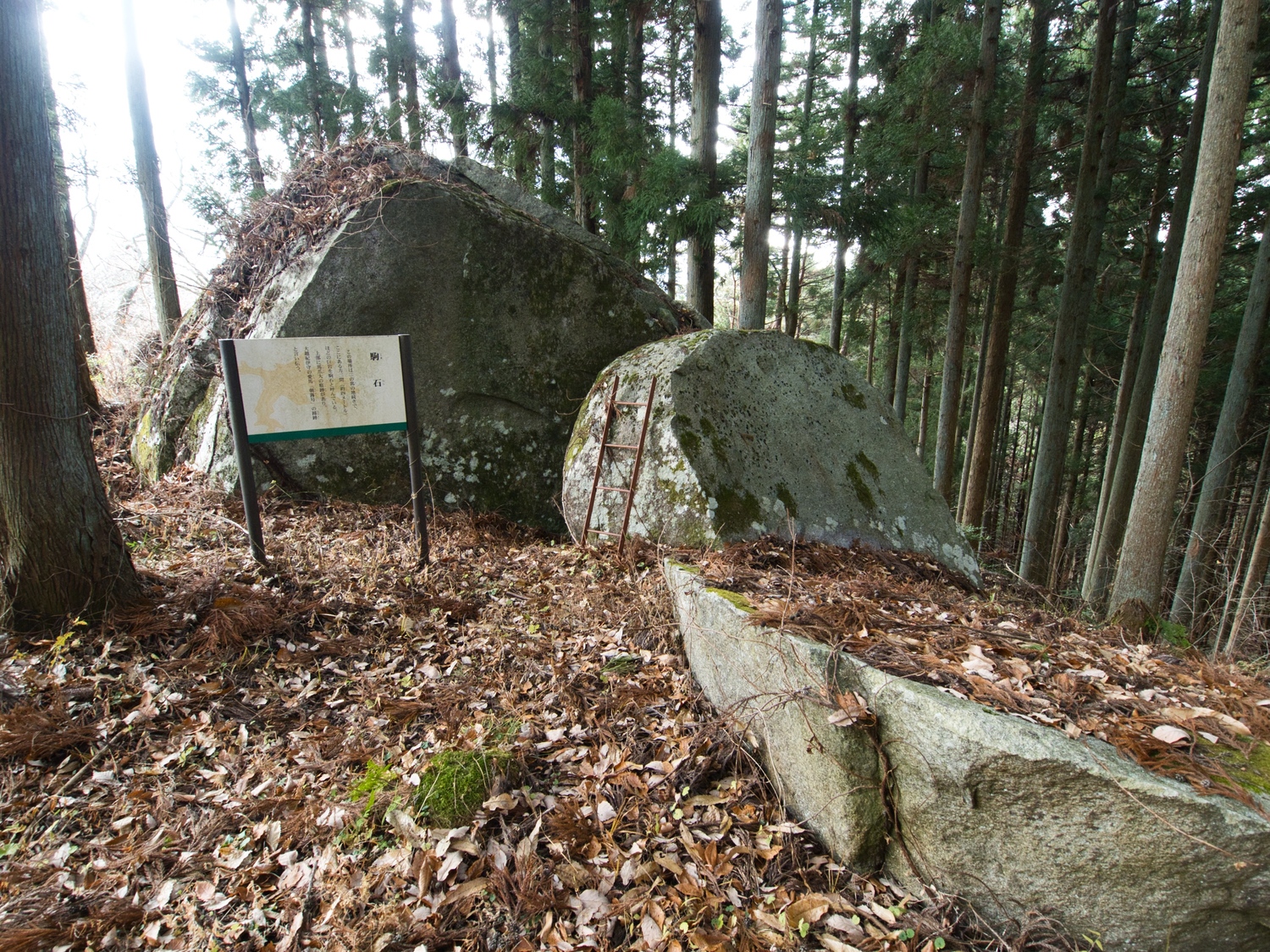 Ogoe19.jpg