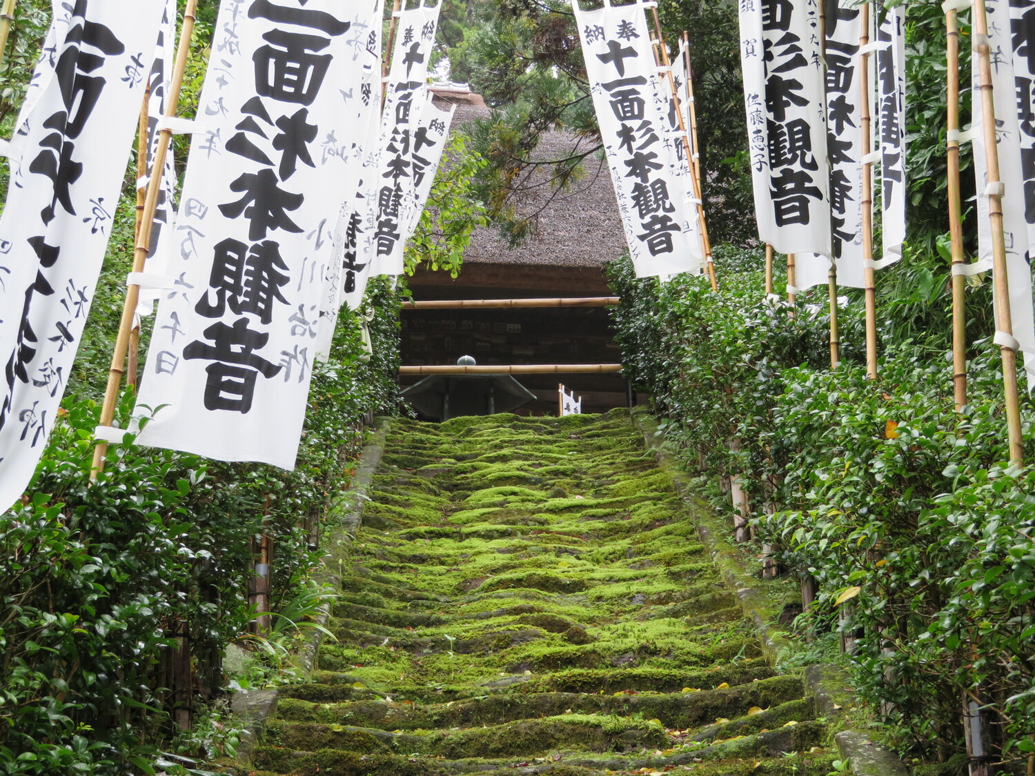 Sugimotojou (0).JPG